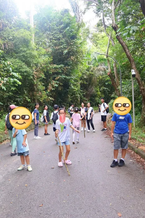 森林徒步和聚餐活动照片 3