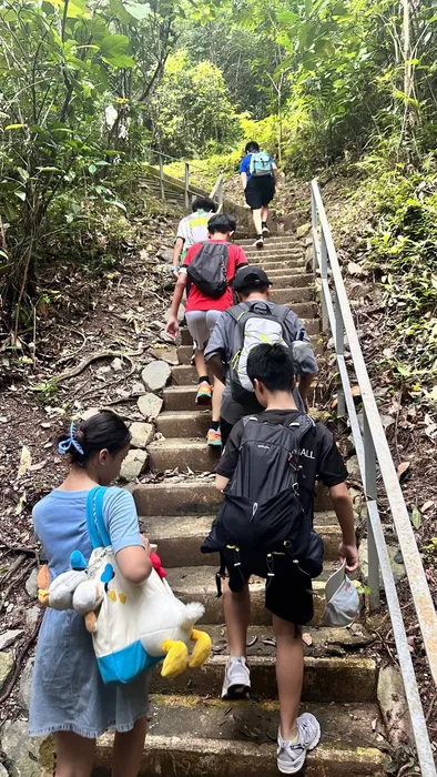 森林徒步和聚餐活动照片 6